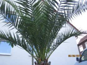 IMG_0052.JPG