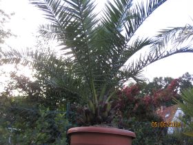 IMG_0057.JPG