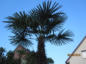 IMG_0059.JPG